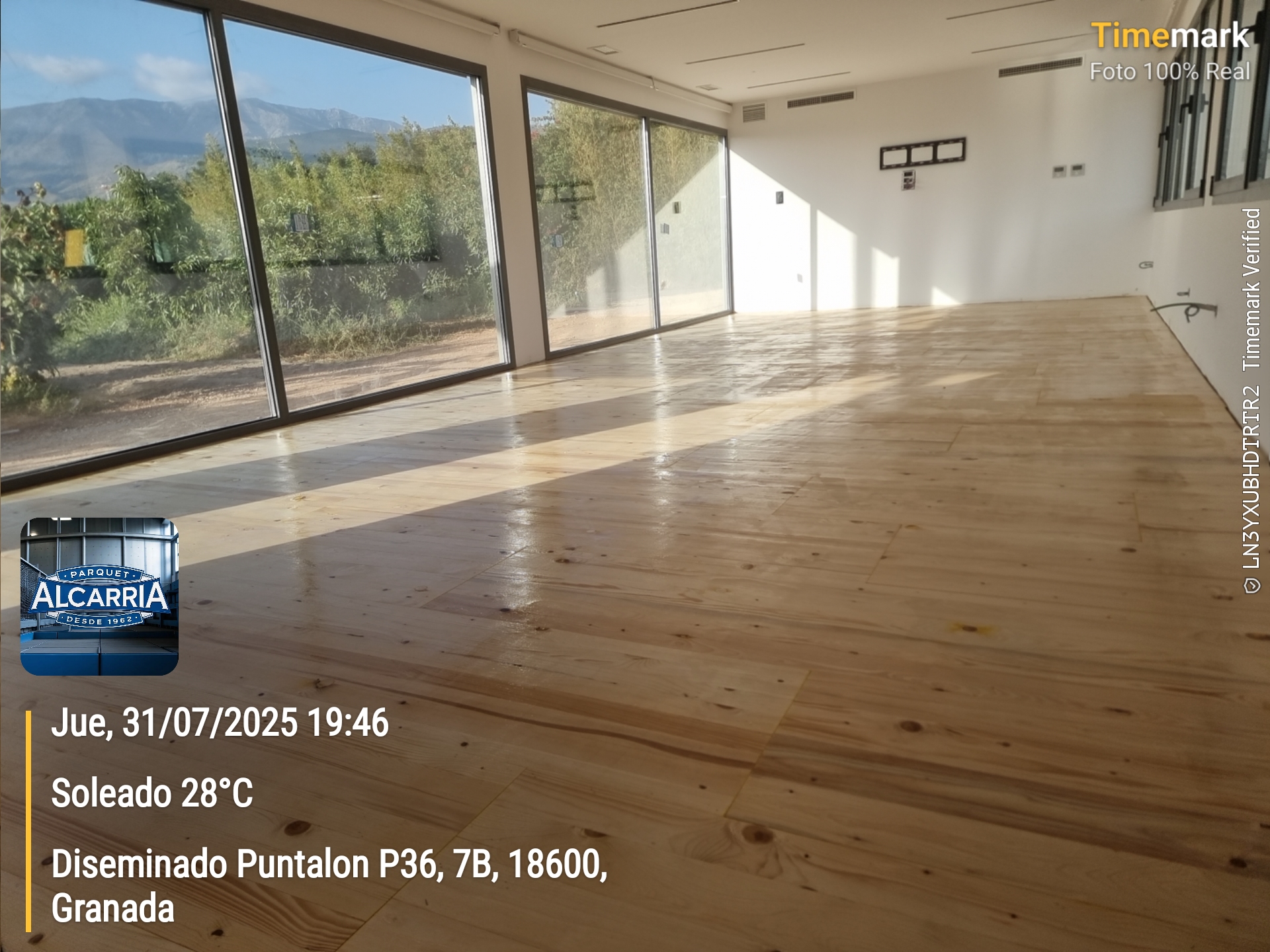 2025-07-31 19.46.37_7B, Diseminado Puntalon P36