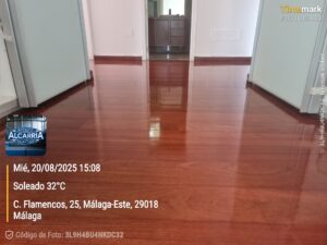 2025-08-20 15.08.11_25, Calle Flamencos