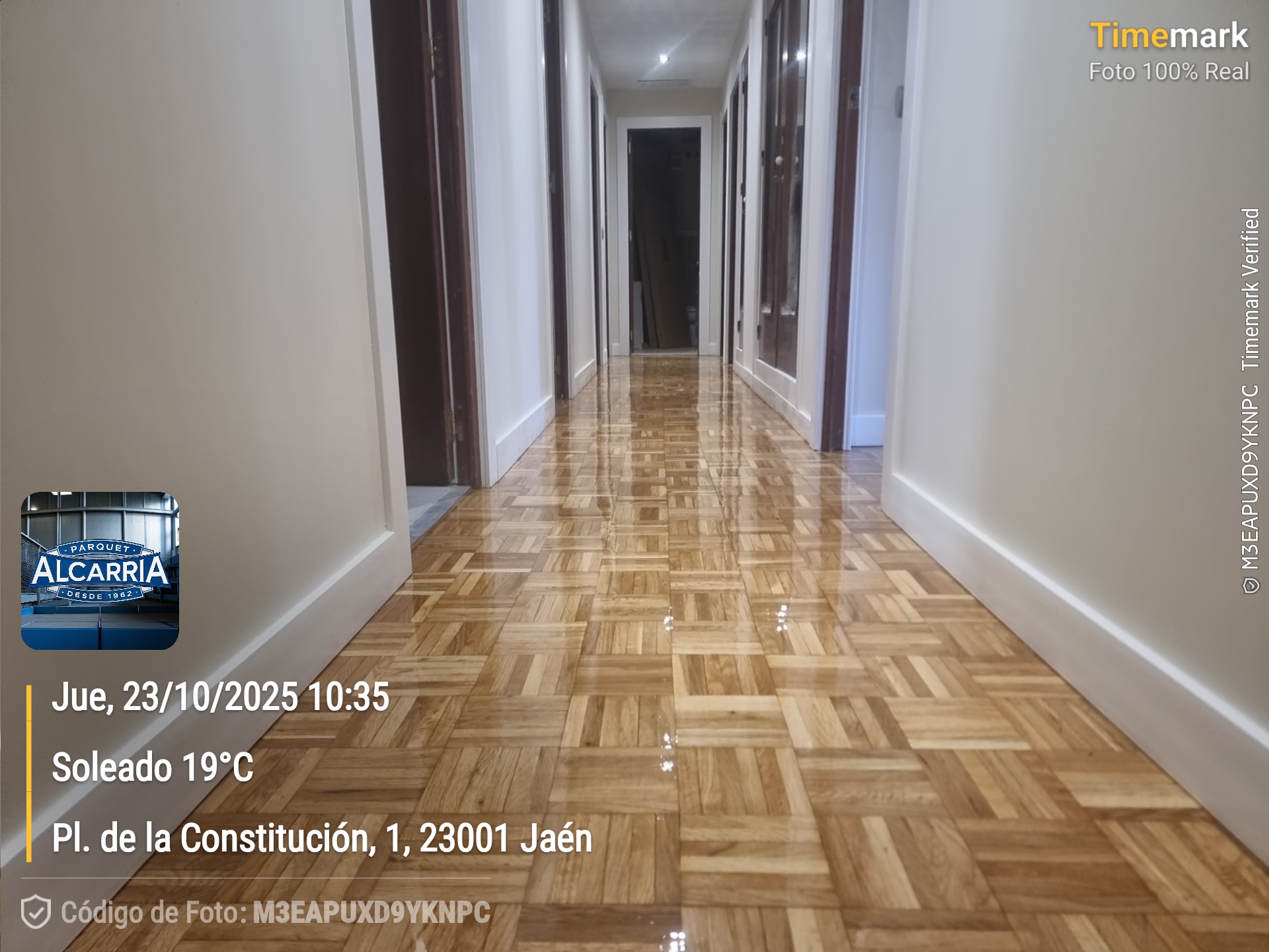 2025-10-23 10.35.39_1, Plaza de la Constitución